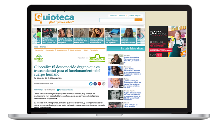 formato_branded-content